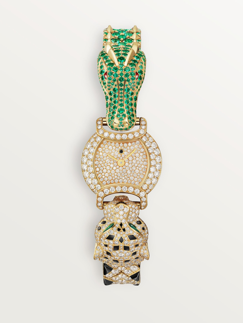 Indomptables de Cartier Watch